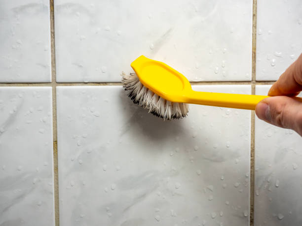 Best Mold Testing  in Gladstone, MI